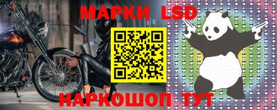 прущие грибы Будённовск