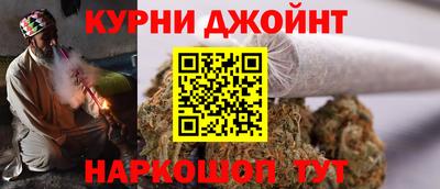 прущие грибы Будённовск