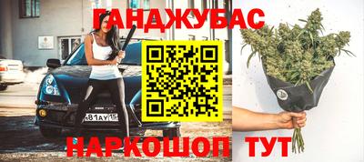 прущие грибы Будённовск