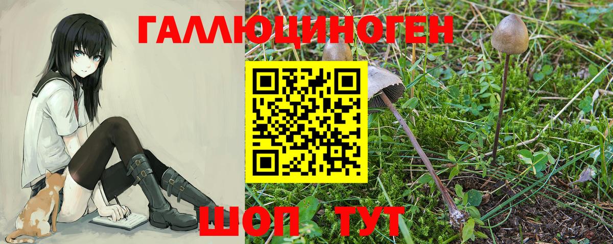 Псилоцибиновые грибы Magic Shrooms  Псилоцибиновые грибы мухоморы  Куйбышев  Вход с VPN 