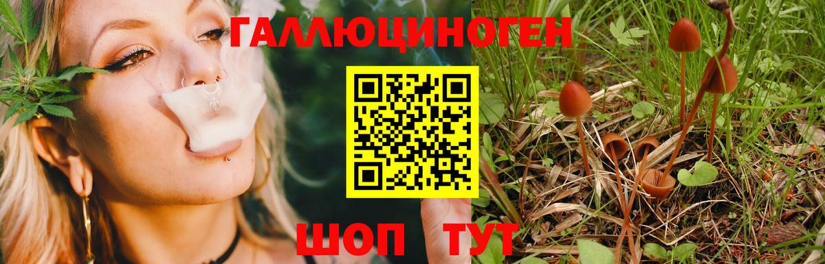 Галлюциногенные грибы Cubensis Куйбышев